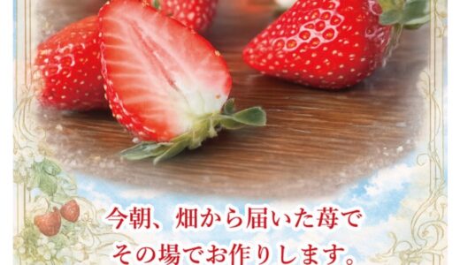 ⭐2月28日限定⭐淡路島から朝摘み苺