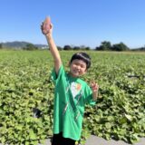 サスケくんちのNARTO金時_とったどー